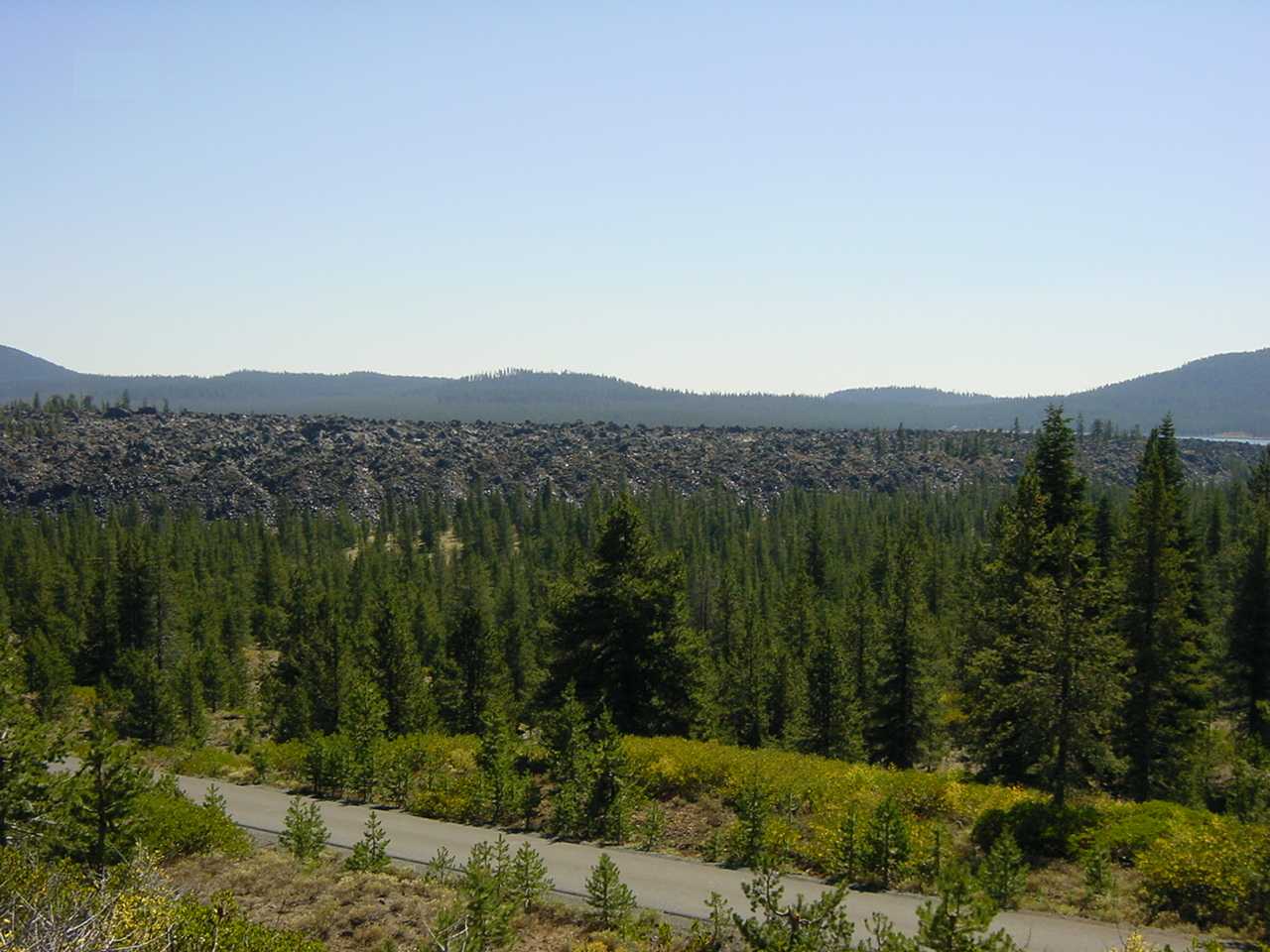California and Oregon shields